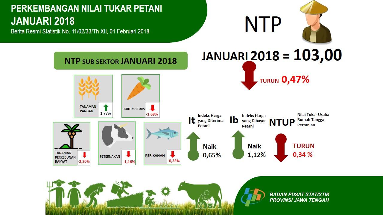 Nilai Tukar Petani Jawa Tengah Januari 2018 sebesar 103,00 atau turun 0,47 persen