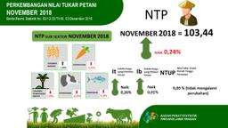 Jawa Tengahs Farmers Term Of Trade November 2018 Amounted To 103.44 Or Down 0.24 Percent