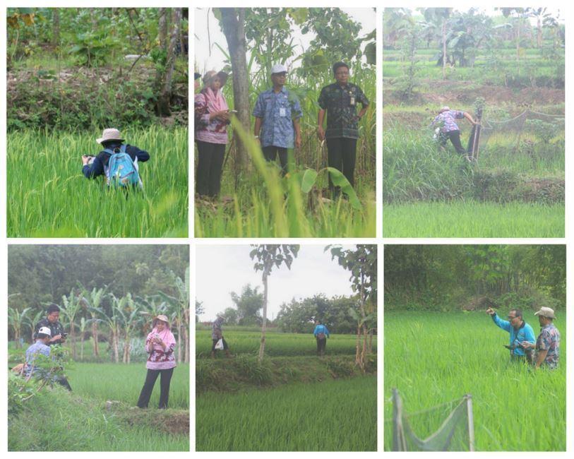 Kegiatan Tim Penjaminan Kualitas