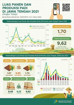 Pada 2021, Luas Panen Padi Mencapai Sekitar 1,70 Juta Hektar Dengan Produksi 9,62 Juta Ton GKG. Jika Dikonversikan Ke Beras, Maka Produksinya Mencapai  5,53 Juta Ton.