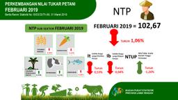 Nilai Tukar Petani (NTP) Februari 2019 Sebesar 102,67 Atau Turun  1,06 Persen