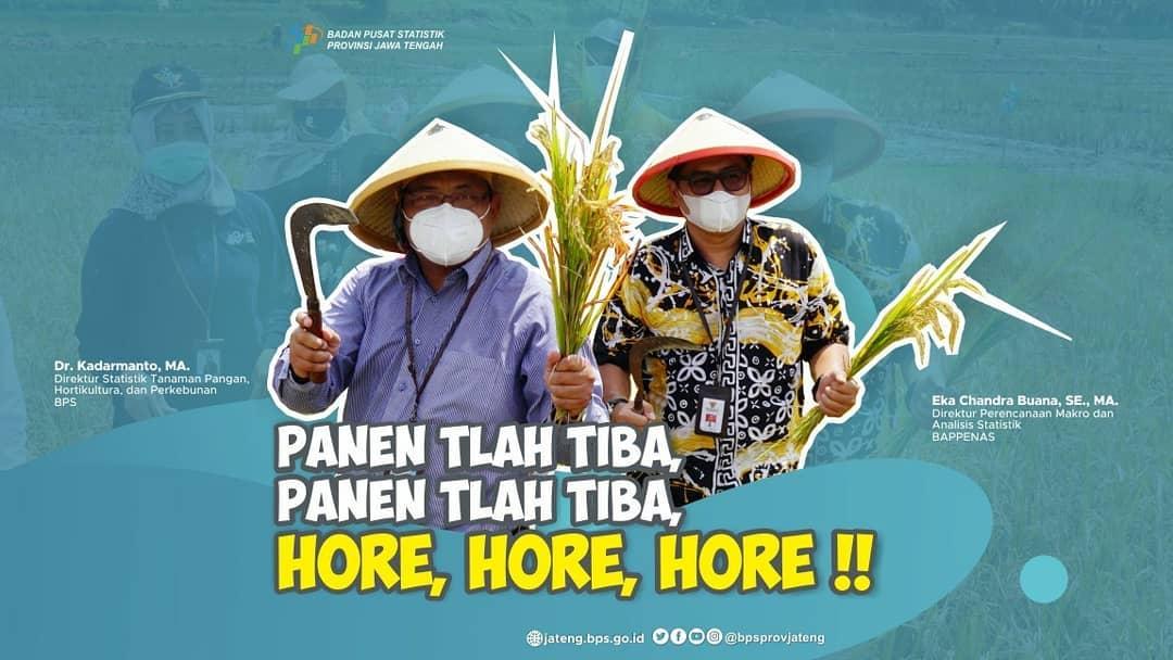 Direktur Bappenas dan BPS turun ke sawah, ada apakah?