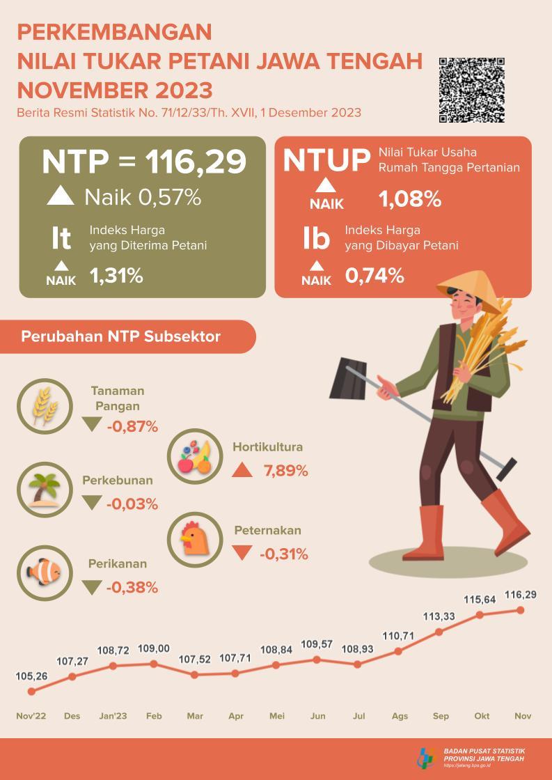 Perkembangan Nilai Tukar Petani, Harga Gabah dan Beras November 2023