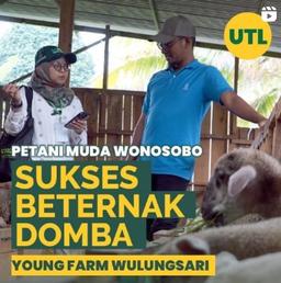 Petani Muda Wonosobo Sukses Beternak Domba (Cakupan UTL di Sensus Pertanian 2023)